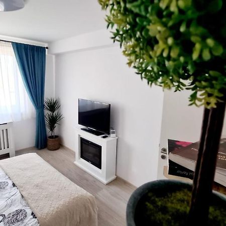 Cozy Studio Lägenhet Braşov Exteriör bild