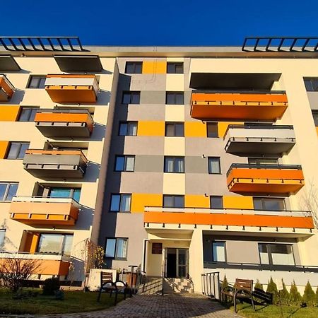 Cozy Studio Lägenhet Braşov Exteriör bild