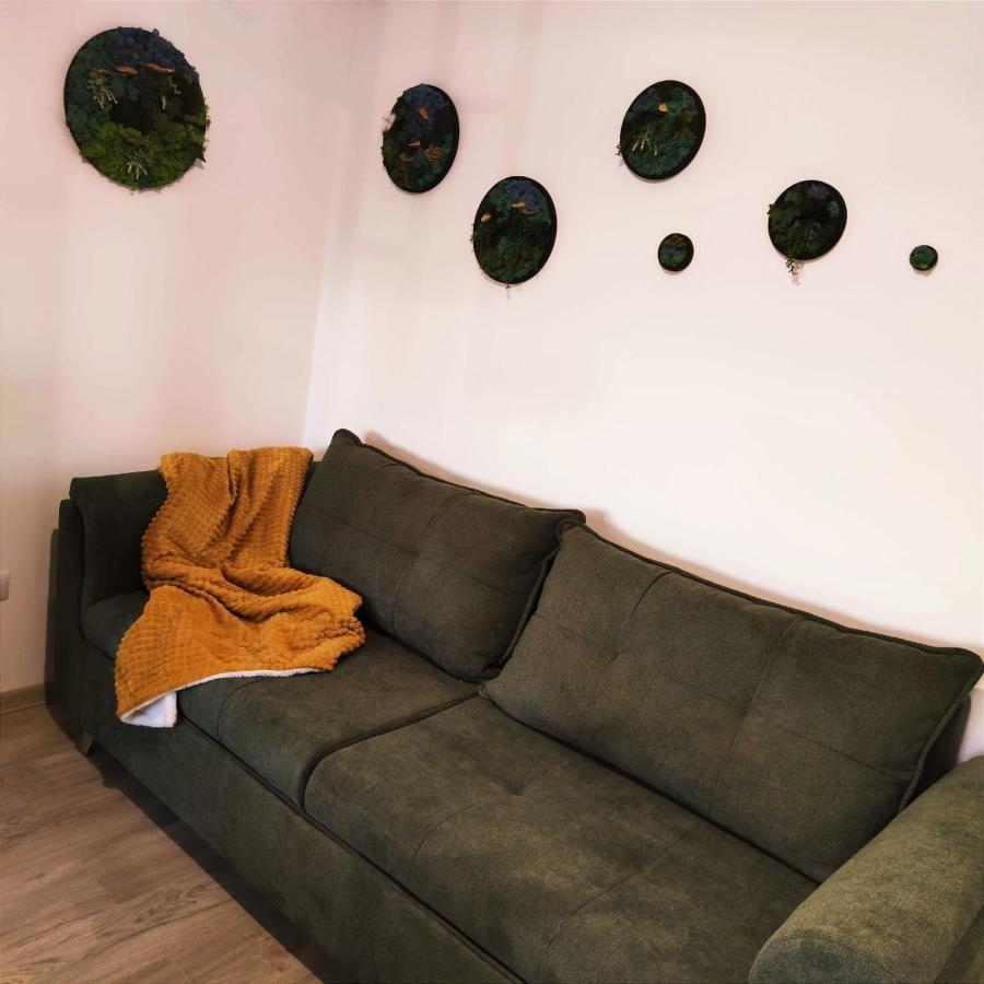 Cozy Studio Lägenhet Braşov Exteriör bild