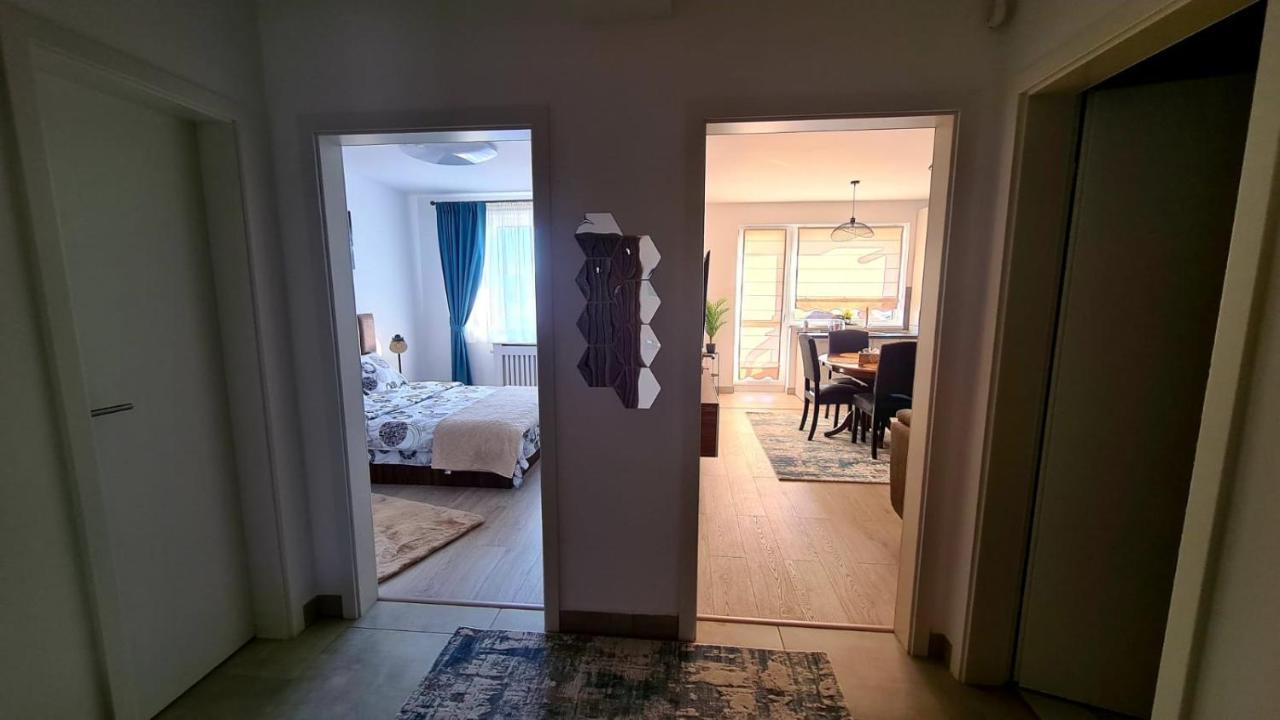 Cozy Studio Lägenhet Braşov Exteriör bild