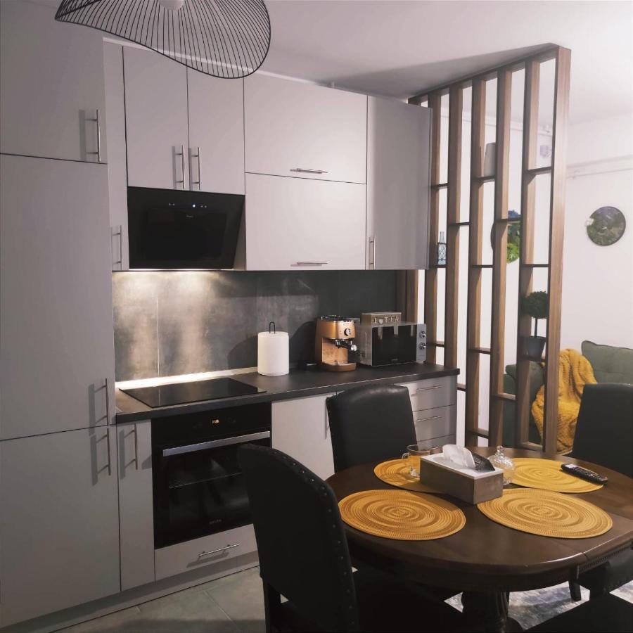 Cozy Studio Lägenhet Braşov Exteriör bild