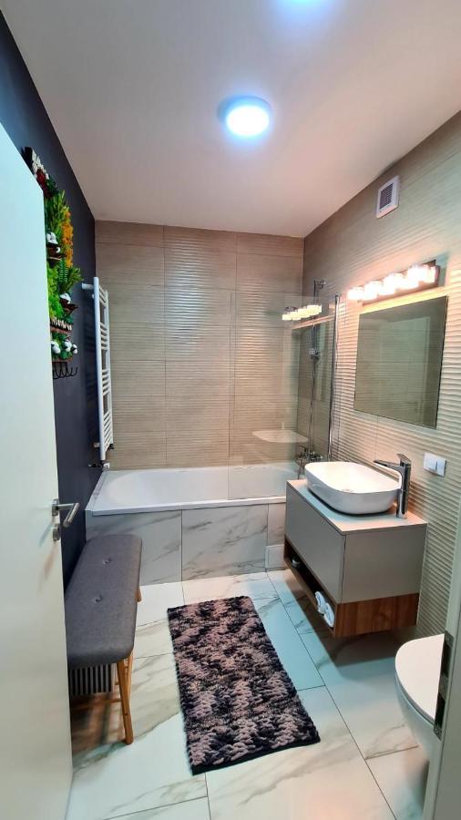 Cozy Studio Lägenhet Braşov Exteriör bild