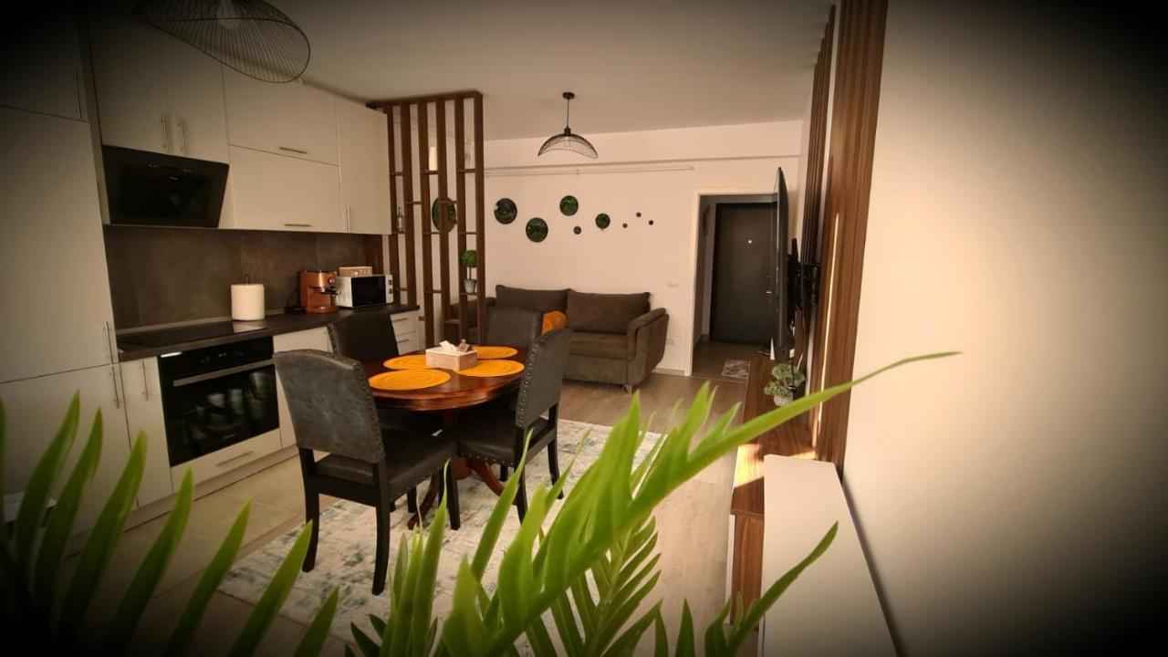 Cozy Studio Lägenhet Braşov Exteriör bild