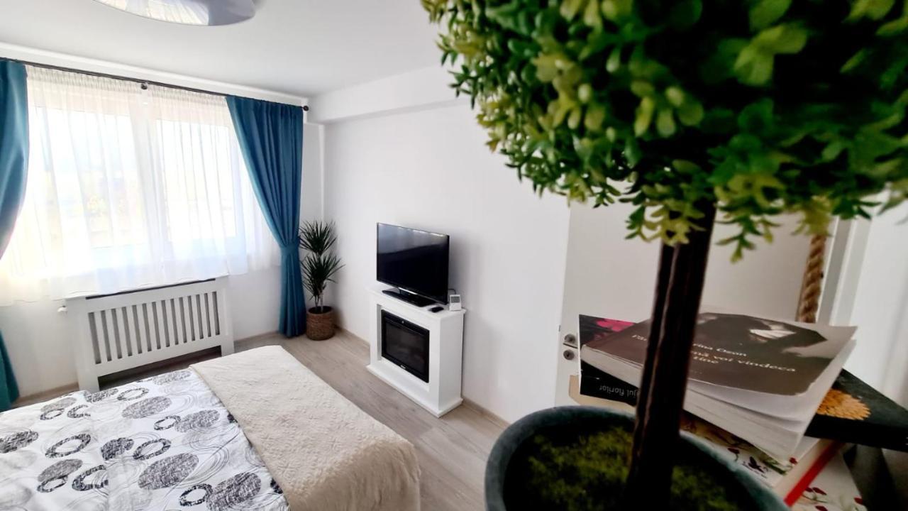 Cozy Studio Lägenhet Braşov Exteriör bild