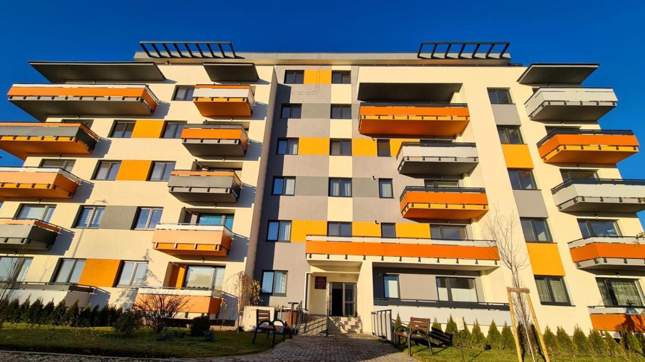 Cozy Studio Lägenhet Braşov Exteriör bild