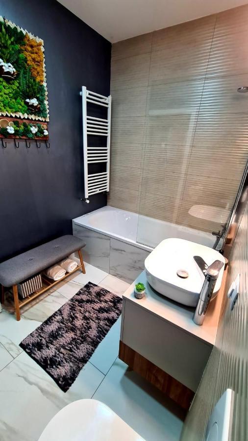 Cozy Studio Lägenhet Braşov Exteriör bild